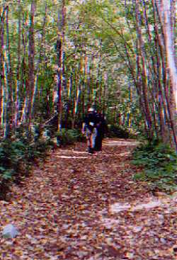 Hiking to Silver Peak